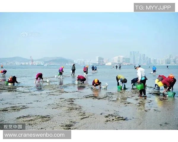 榜眼首败！潮水褪去，到底是谁在裸泳？_329