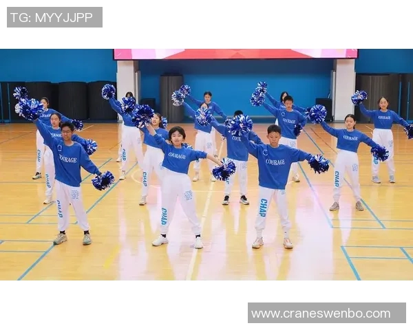 CCTV15在线直播:体育盛宴的回顾分析及互动体验