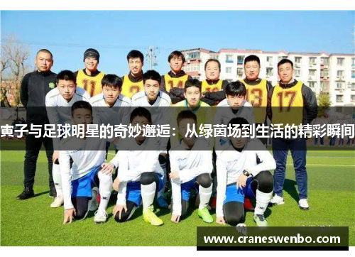 寅子与足球明星的奇妙邂逅：从绿茵场到生活的精彩瞬间