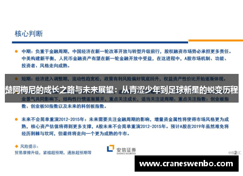 楚阿梅尼的成长之路与未来展望：从青涩少年到足球新星的蜕变历程